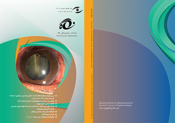 نشریه چشم پزشکی نگاه شماره 61 الی 64